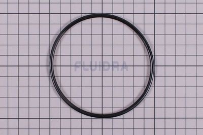 Motstrømsanlegg Astral  -  Pumpe O-Ring ø93x4mm      