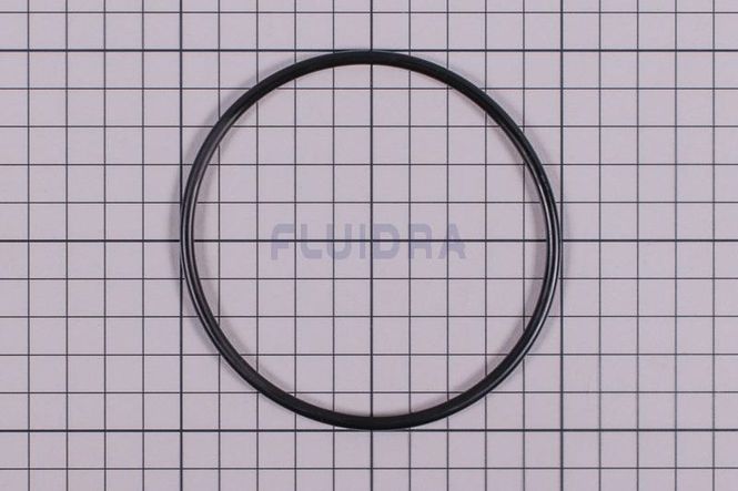 Hovedbilde Motstrømsanlegg Astral  -  Pumpe O-Ring ø93x4mm   ...